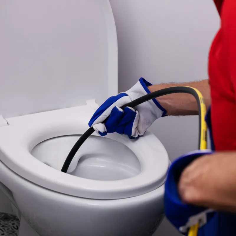 Clogged Toilet Repair